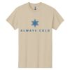 Heavy Cotton ™ 100% Cotton T Shirt Thumbnail